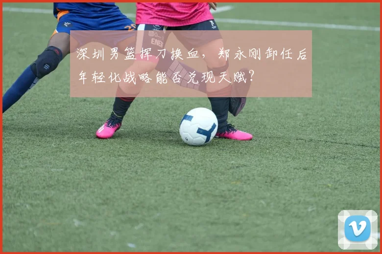 深圳男篮挥刀换血，郑永刚卸任后年轻化战略能否兑现天赋？